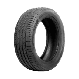 Pneu Aro 17 Delinte 215X60R17 DS2 XL