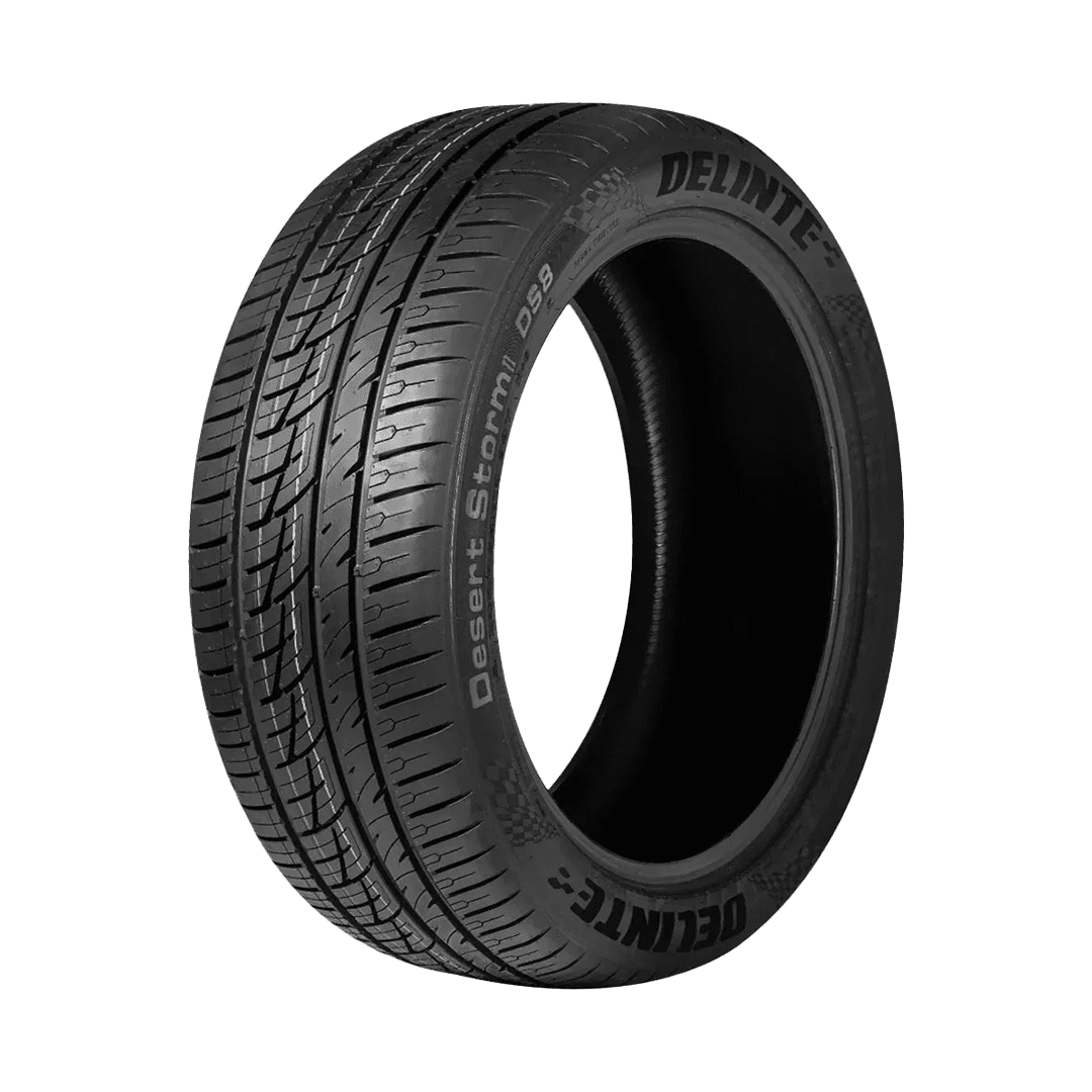 delinte-ds8-desert-storm