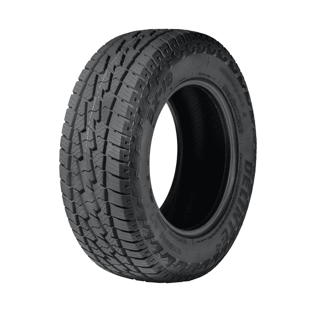 pneu-delinte-DX10-RT-Bandit